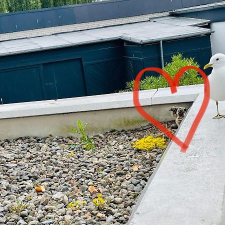 Apartment Moevenkoje Fuer 1-2 Personen Mit Pool Dahme  Luaran gambar